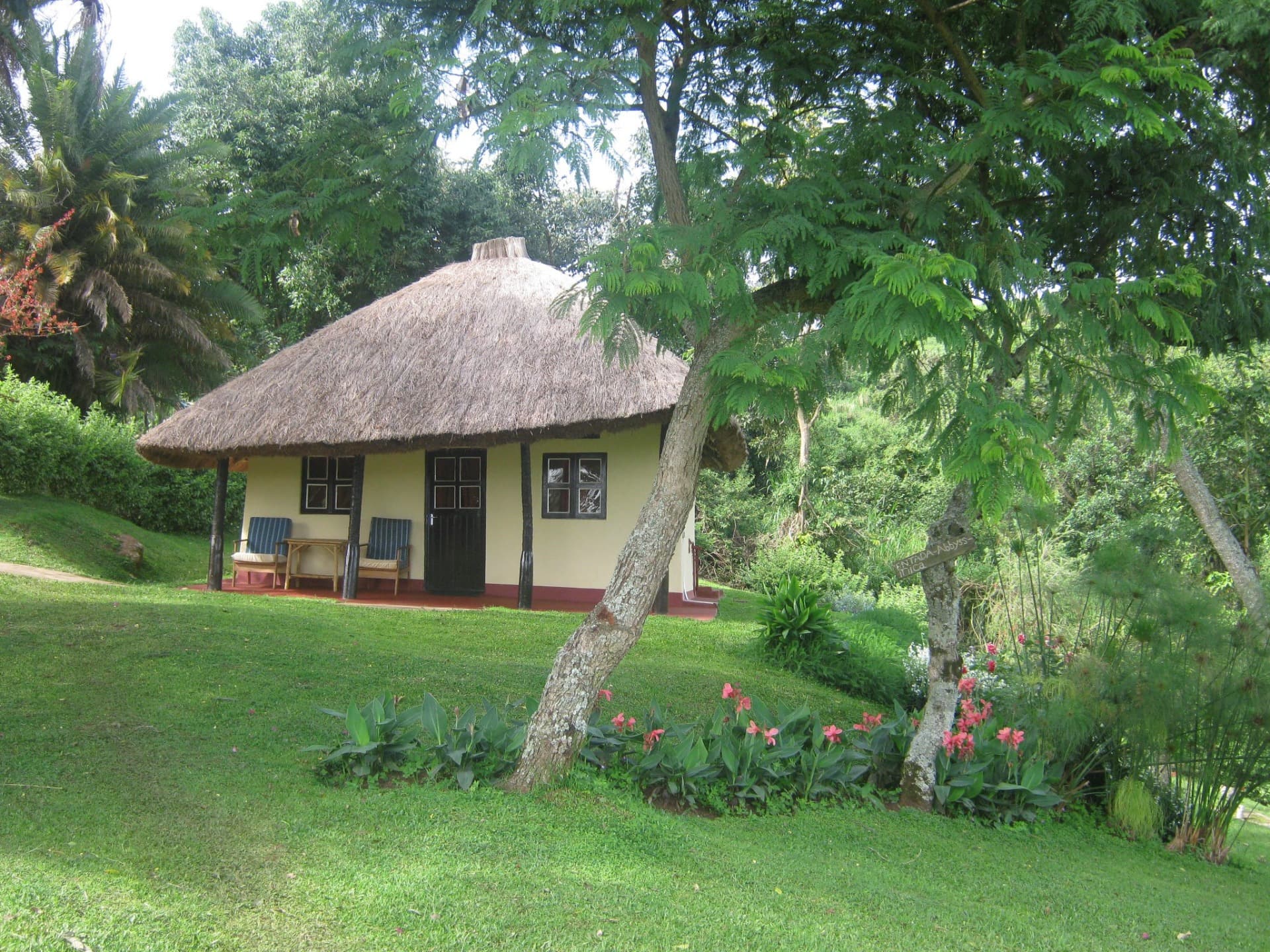 Chimpanzee forest guesthouse