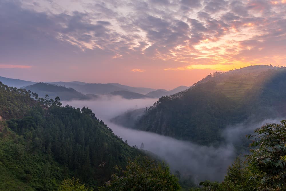 All Our Reasons to Travel to Uganda