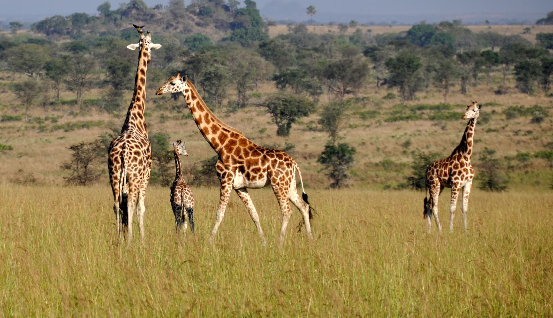 Pian Upe Reserve