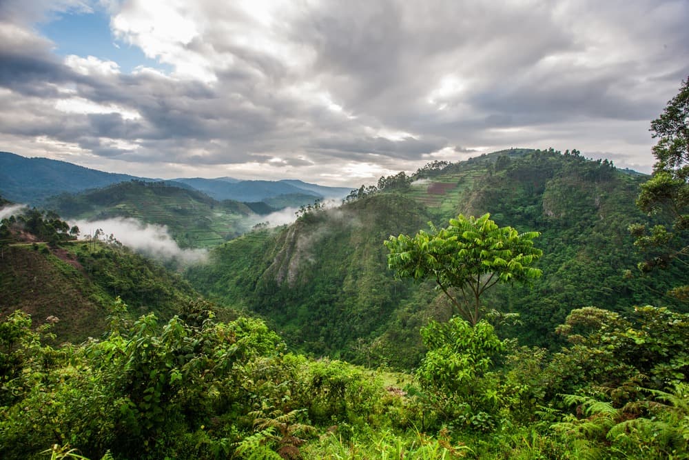 Jour 2